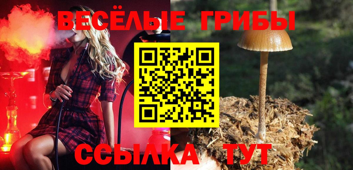 Псилоцибиновые грибы мухоморы  Псилоцибиновые грибы ЛСД  Вход с VPN  Тула 